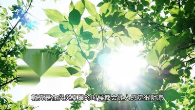 ​十大最好看的悬疑惊悚小说#恐怖灵异小说