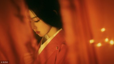 ​小说：公主带回来一个失忆的男子要做驸马，他却想跑