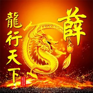 ​108张霸气龙姓氏头像，龙行天下，蛟龙出海，飞龙在天