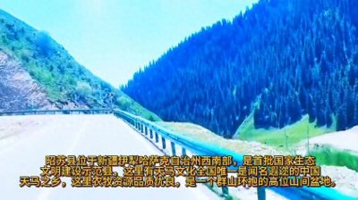 ​昭苏县这里有天马之乡是一个群山环抱的高位山间盆地