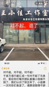 ​网红王小佳发文宣布退网，原因是压力太大，550多万官司的压力