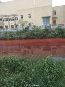 ​江西九江学院门前河水“红如血” 官方回应