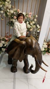 ​我家有个“鬼马小精灵”，“金猪年宝贝”喊你快来扫码晒萌照啦