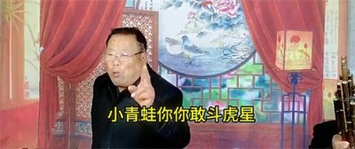 ​长篇民间老式坠子戏严海斗11海瑞辞别徐英