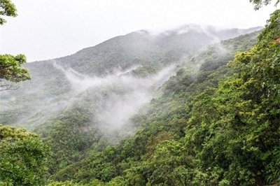 ​梧桐山主峰高944米，为珠三角第一峰，上有“梧岭天池”