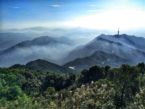 梧桐山主峰高944米,为珠三角第一峰,上有“梧岭天池”
