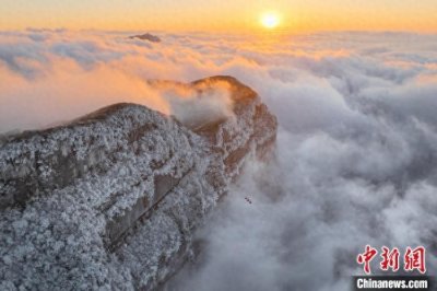 ​重庆金佛山：冰雪云海景观 宛如人间仙境