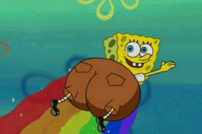 每日一词：彩虹屁