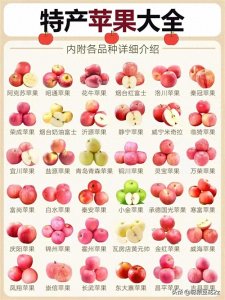 ​全国各省36种苹果种类区别和特点！