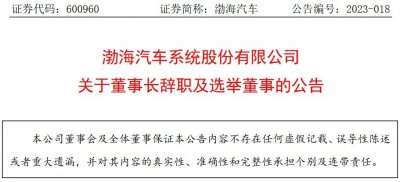 ​渤海汽车系统股份有限公司董事长谢伟辞职