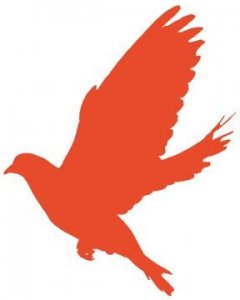 ​莫文骅：北战南征二十载 心系桑梓不忘怀