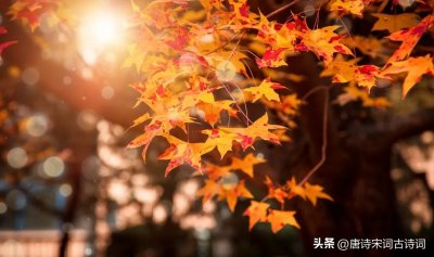 ​秋天，是什么颜色的呢？