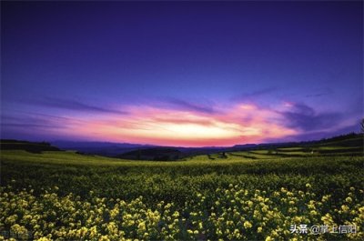 ​信阳城事：关于对新增医保定点医药机构的公示