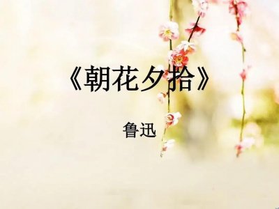 ​《朝花夕拾》简介