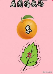 ​看图猜成语（高阶版），想挑战的就来。