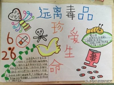 ​禁毒手抄报大全，远离毒品，珍爱生命，从你我做起