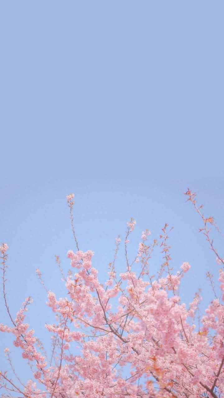 一组小清晰系唯美壁纸