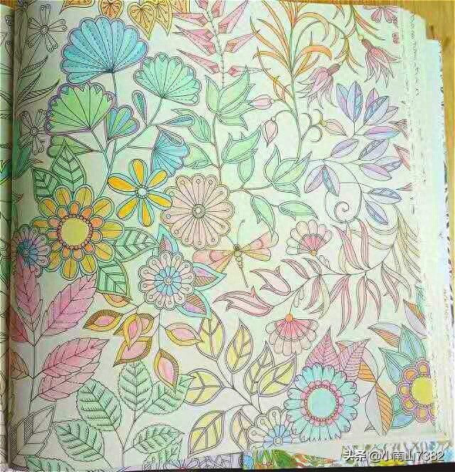 成人减压涂色本《秘密花园》