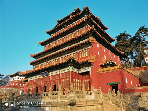 普宁寺位于河北省承德市，始建于清朝乾隆时期的一座汉藏结合寺庙