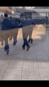 ​军版运动服-17长袖体能训练服