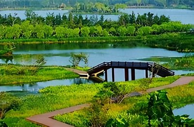​走进潘安湖湿地公园：自然与人文的诗意交织