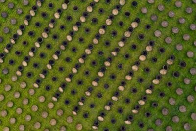 ​四川合江：传承酱油传统酿造技艺