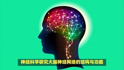 ​人的大脑是如何运作的？