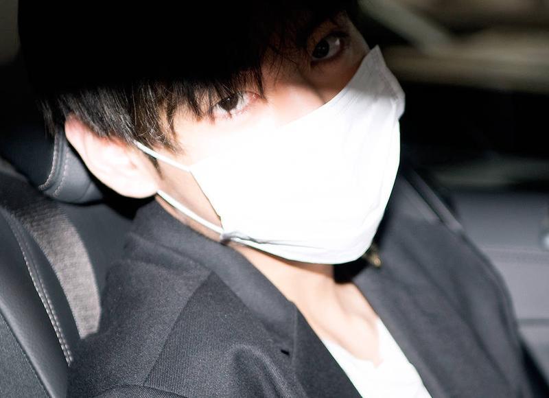 100种仙人掌名字和图片（鼠尾仙人掌）