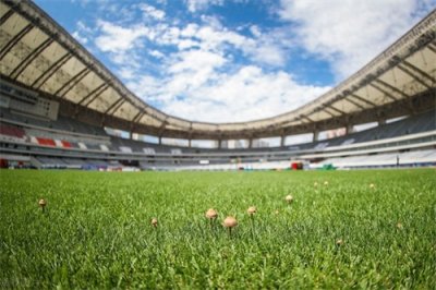 ​电视猫LOGO涵盖影视综艺