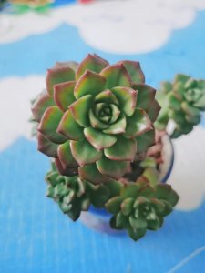 ​羁押在看守所的真实生活