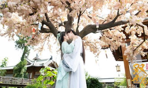 主创告别双世宠妃3 双宠为何能拍到第三季