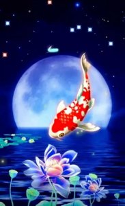 ​锦鲤转运手机壁纸｜喜从天降，鸿运当头，富贵有余