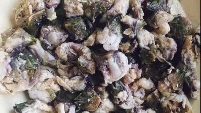 ​生长在礁岩上的美味：藤壶