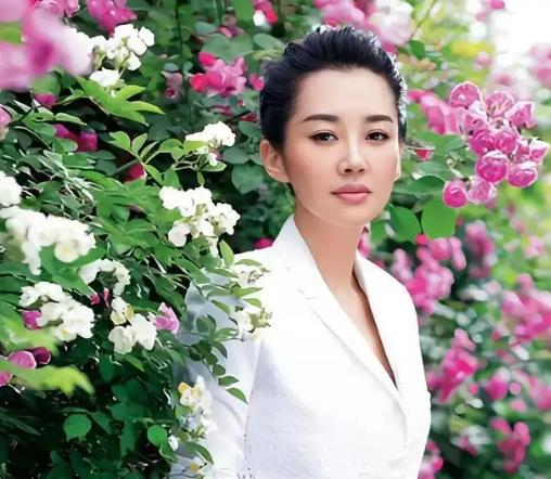 许晴的感情经历坎坷吗 许晴的真爱另一半郁郁而终是怎么回事