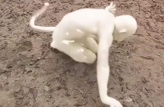 张纪中版西游记(张纪中版西游记免费版) 张纪中 第5张 张纪中版西游记(张纪中版西游记免费版) 张纪中 第5张