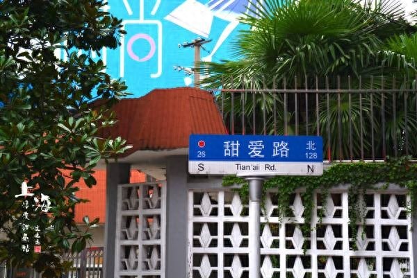 上海甜爱路，最甜的一条马路，明星夫妻都曾打卡过
