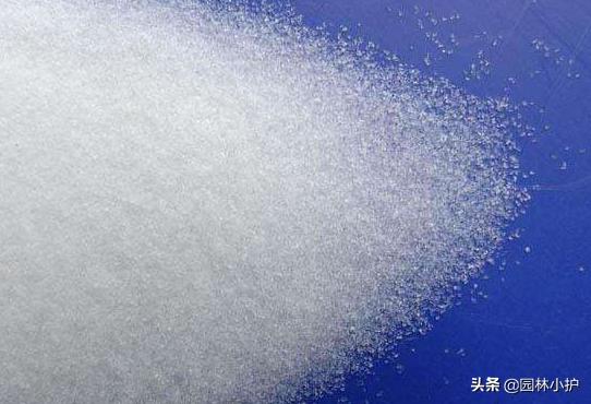 干花的制作过程（5种简单又实用的干花制作方法来了）(5)