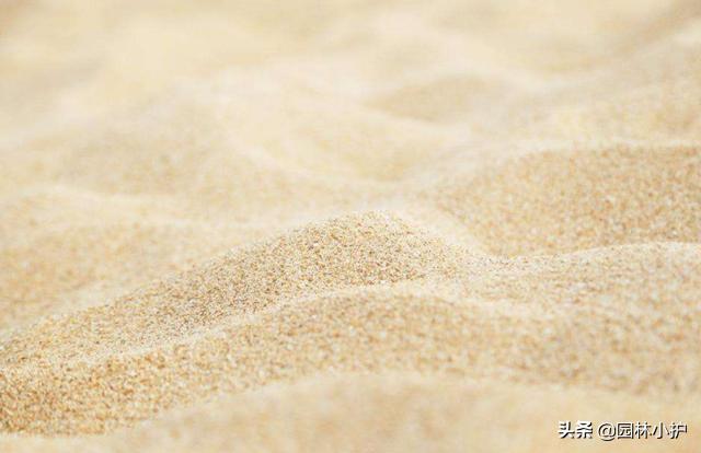 干花的制作过程（5种简单又实用的干花制作方法来了）(4)