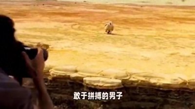 ​33岁农村汉子，从一穷二白到身家百万，他是如何逆袭的？