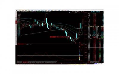 ​复合爱情的正确方式？爱情的正确打开方式