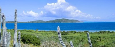 ​加勒比海巨人岛催人长高之谜