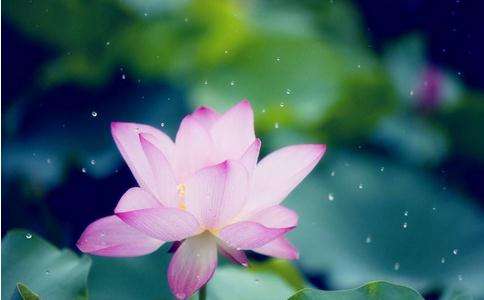 完美收官是什么意思(成语往往用于很多活动的结束时刻)(2)_