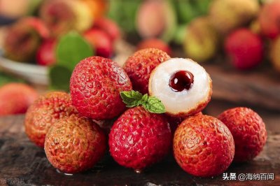 ​“荔枝之乡”在哪里？