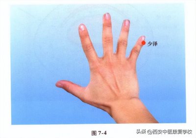 ​手太阳小肠经经穴-少泽穴