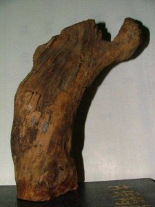 ​沉香木的功效（沉香木的功效与作用）