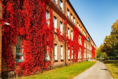 985有多少所大学名单(全国39所985高校一览表)插图6