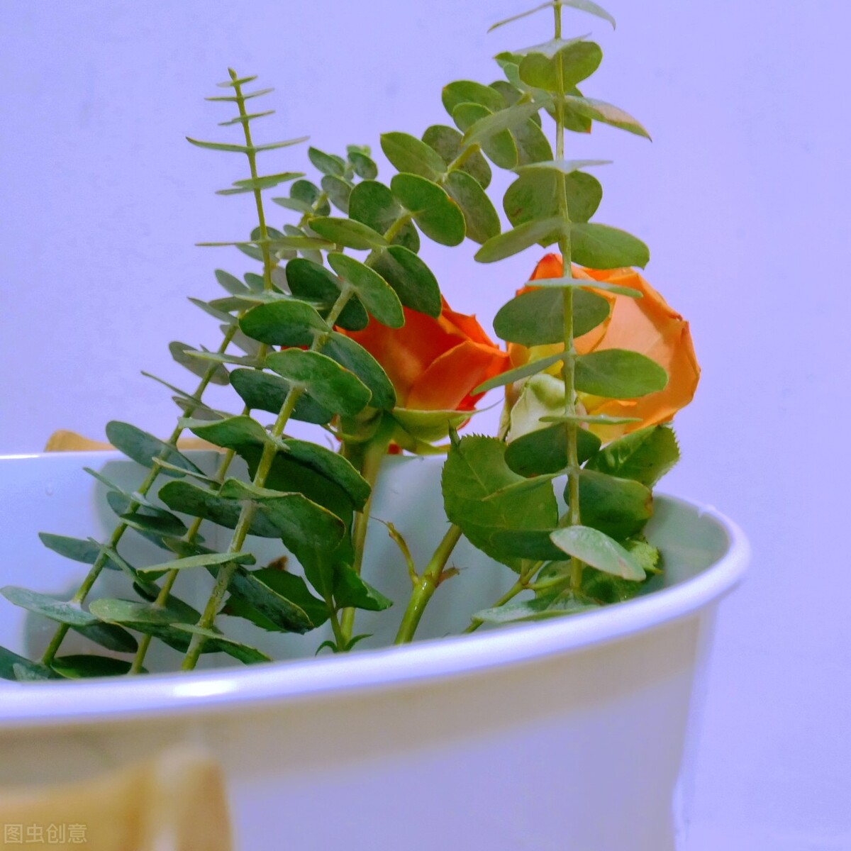 鲜花店常见的花及花语（花店的常用鲜花推荐）