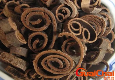 ​湿气最怕一味中药是什么药？什么药去湿气最好？