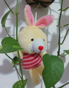 ​女性体内湿气重怎样祛除(如何去除体内湿气 女性)