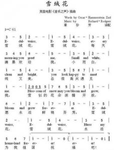 ​雪绒花歌词英文版(雪绒花歌词简谱)